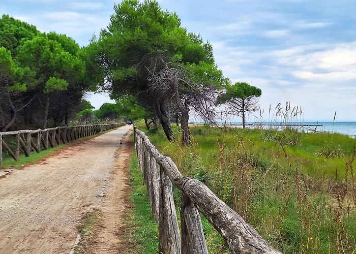 Apartment Modern Seafront With Pool And Terrace Bibione